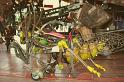 Le Manege Carre Senart concu par Francois Delaroziere 084